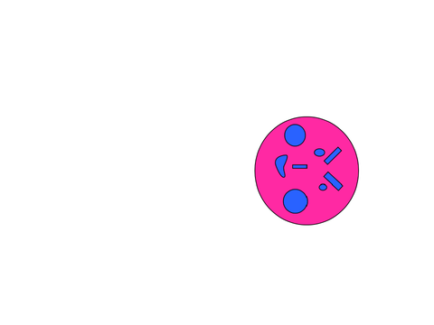 せ is having a seizure and さ,し,す and そ join him remix