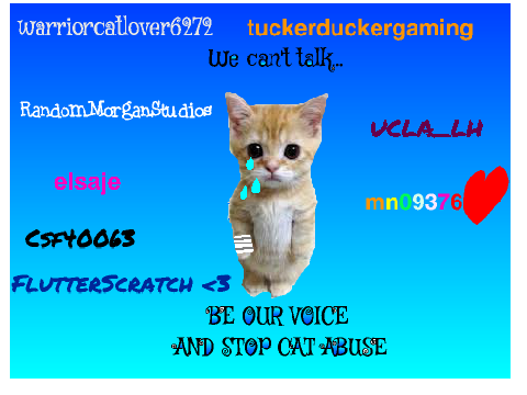 Sign here to stop cat abuse!
