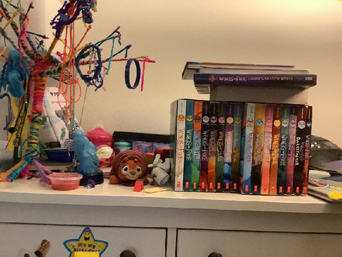 My Messy Shelf