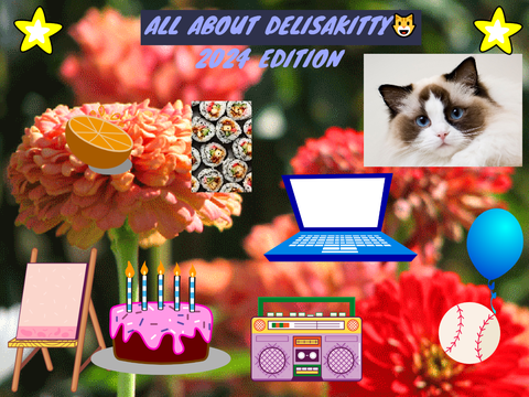 ABOUT DELISAKITTY 2024 EDITION