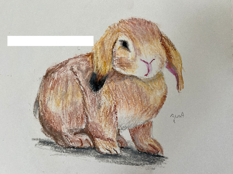 Oil pastel drawing 