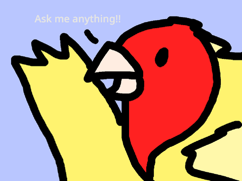 ASK BIRDDY Q&A