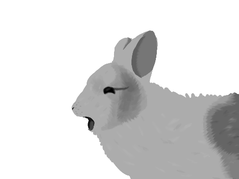 B & W Screaming Rabbit