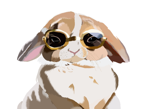 Bunny With Sunglasses