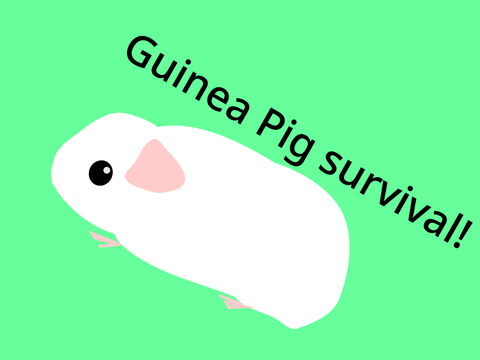 Guinea pig survival!