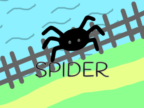Spider