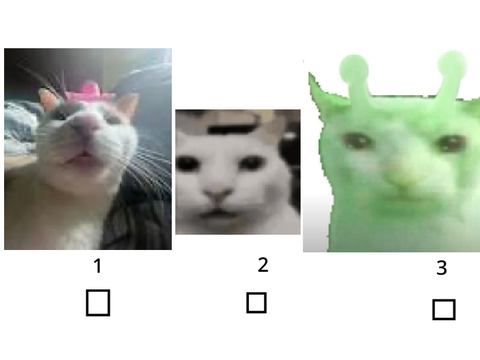 pfp vote
