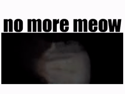 no more meow