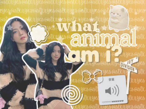 ✍️⇅what animal am i?