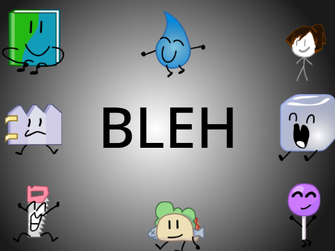 Team BLEH!!