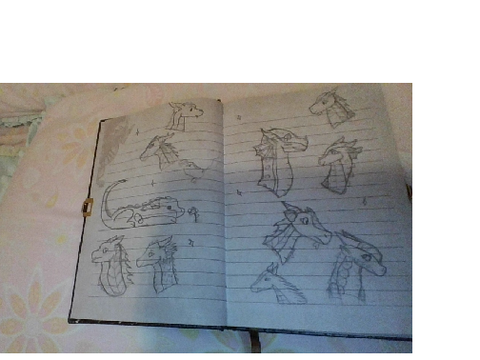 Soome of my dragon drawings on paper