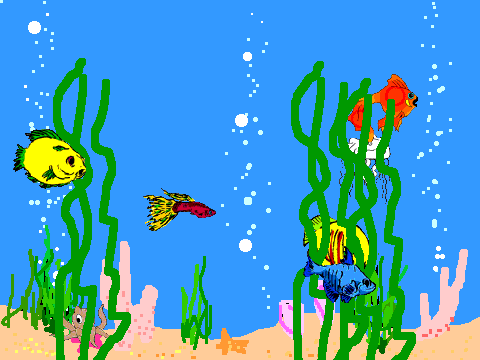 my aquarium