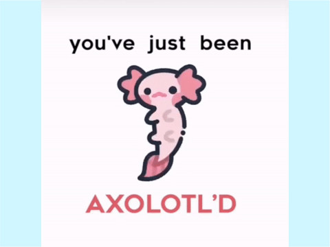 You've just been Axolotl'd >:00 remix remix remix remix