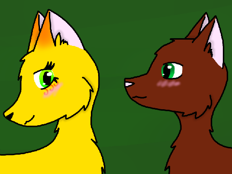 Amber and Pine