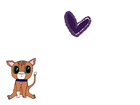What should I name the cat? Entry