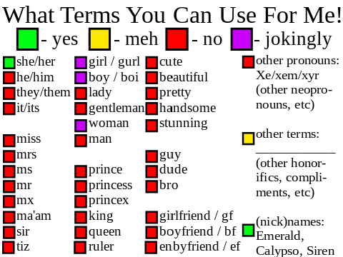 What Terms You Can Use For Me :> remix