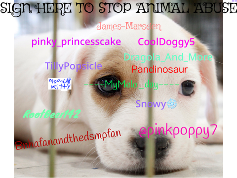 SIGN HERE TO STOP ANIMAL ABUSE remix remix remix remix remix remix remix remix remix remix remix