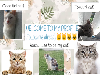 Welcome to my profile!!