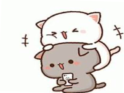 Kitties!! 