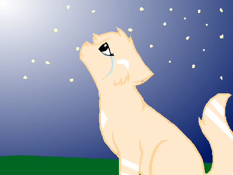 CC-WHERE ARE YOU?-CC Lightstripe