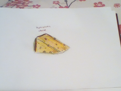 Hyper realistic cheese