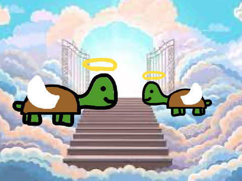 The Holy Turtle