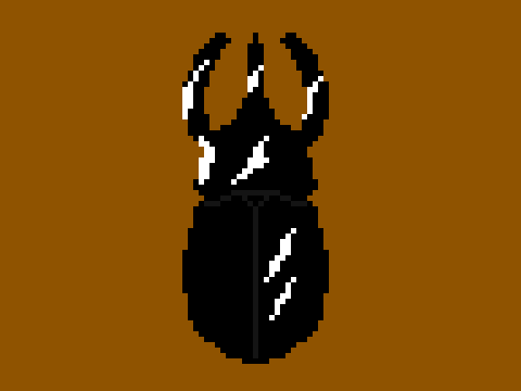 Atlas beetle