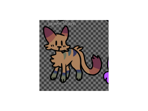 Shiny 