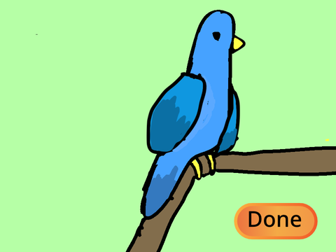 Make your own bird!