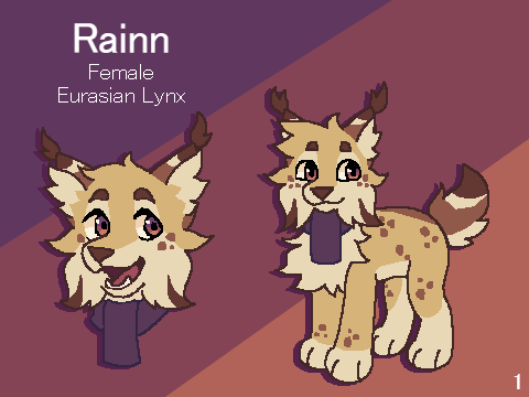 Rainn / Juniper Reference