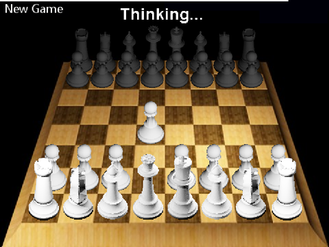 chess ( they work!)