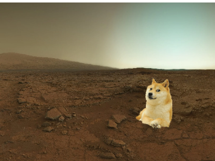 Add yourself on Mars with doge