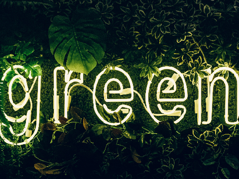 Project thumbnail