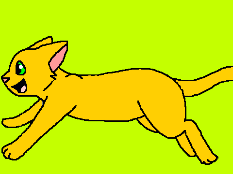 warrior cats run cycles more coming