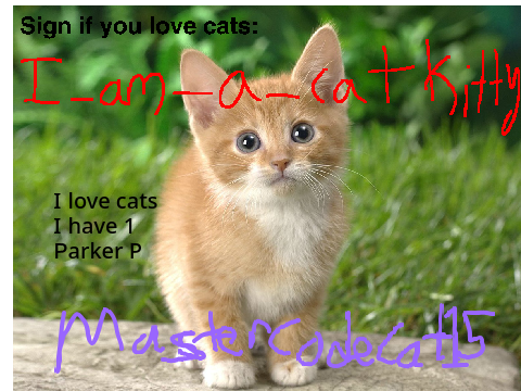 Sign if you love cats remix remix remix