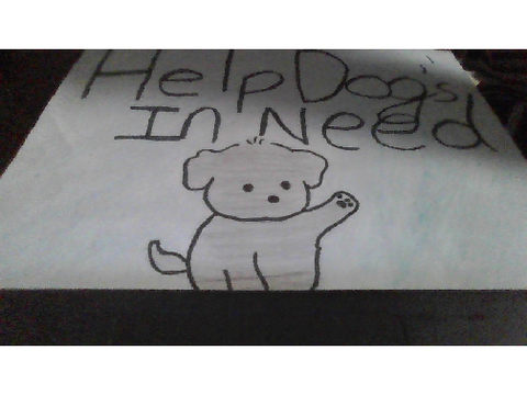 Dogs