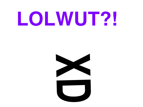 XD?