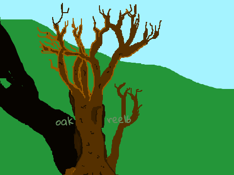 Oaktree16 logo