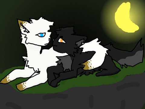 coloring competition entry