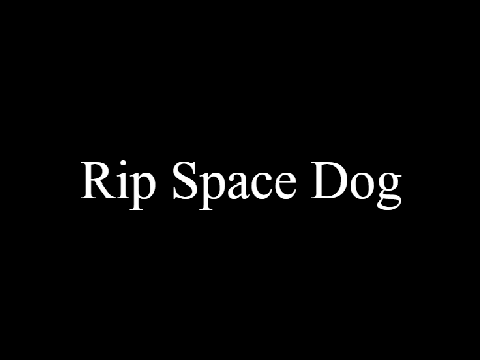 The Space Dog