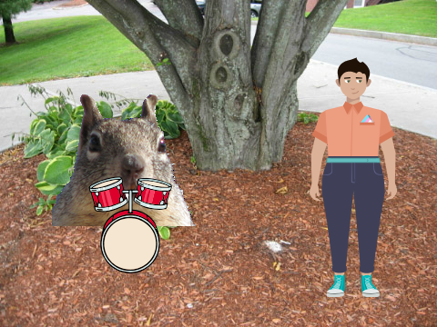squirrels can make music 