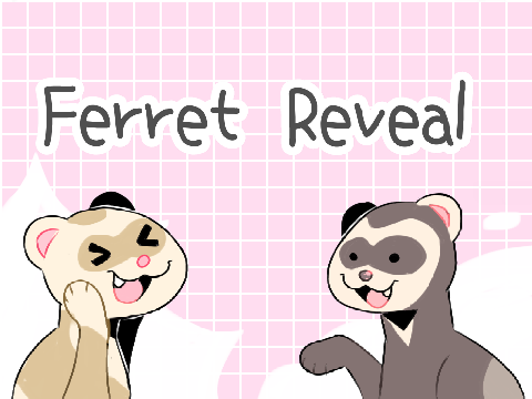 ♡ 400+ ferret reveal
