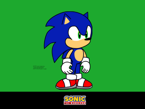 SA1 Sonic vector remix