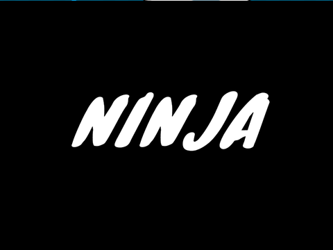 Ninja (The Ultimate Remix of Griffpatch's Platformer)