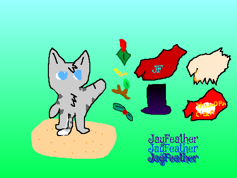 dress up jayfeather!