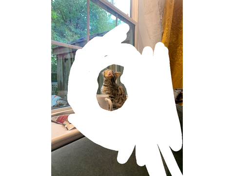 Cat collage
