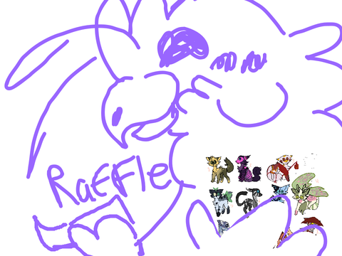 - DESIGN RAFFLE -