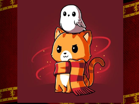 I am a Gryffindor! 