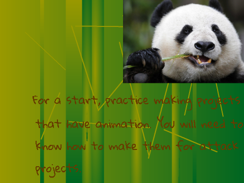 Panda Tribe training 