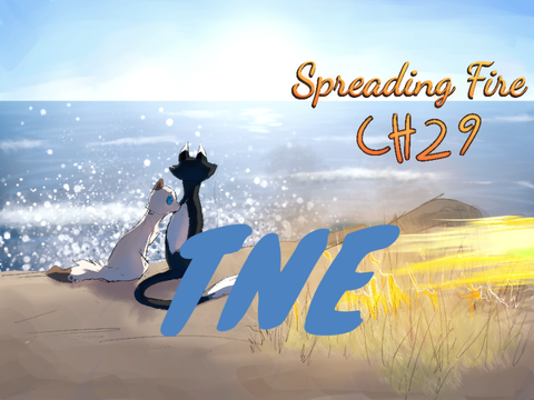 SF ch29 TNE
